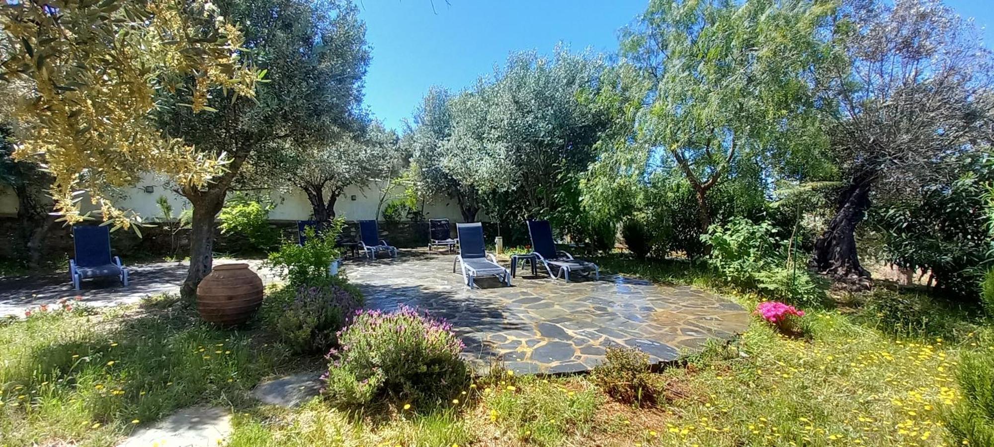 Casa De Terena ξενώνας Εξωτερικό φωτογραφία